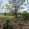 Mobile Home for Sale: 3 Bed 2 Bath 1991 Mobile Home