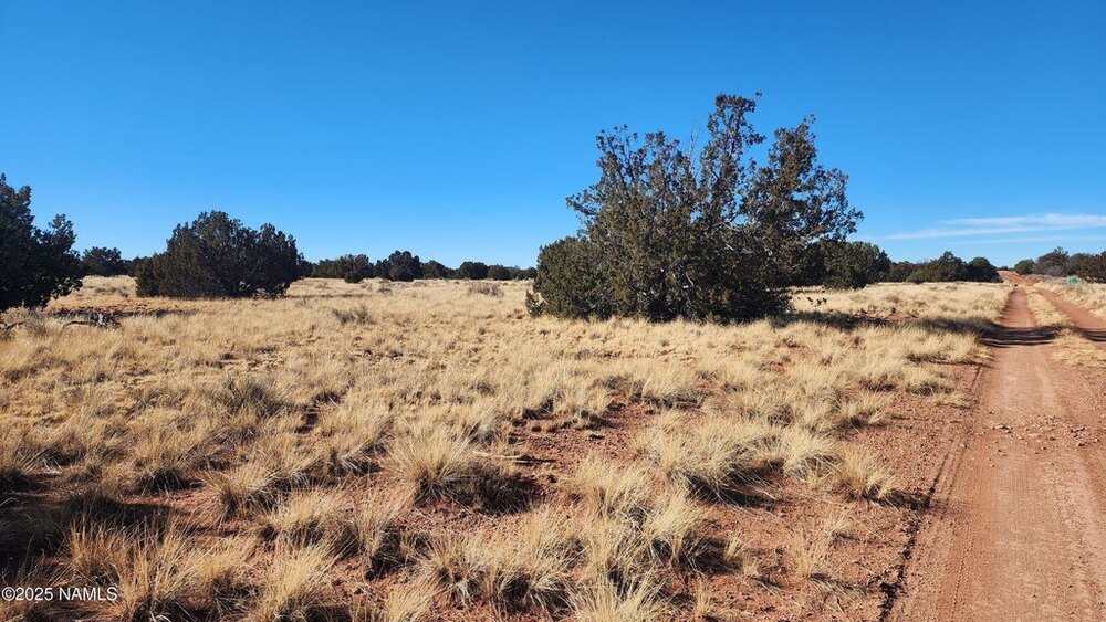 Photo of Mobile Home Lot