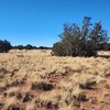 Photo of Mobile Home Lot