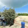 Mobile Home for Sale: 3 Bed 2 Bath 1974 Mobile Home