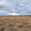 Photo of Mobile Home Lot