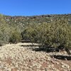 Photo of Mobile Home Lot