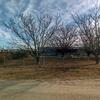 Mobile Home for Sale: 3 Bed 2 Bath 1978 Mobile Home