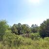 Mobile Home for Sale: Mobile Home