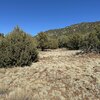 Photo of Mobile Home Lot