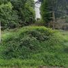 Mobile Home for Sale: 3 Bed 2 Bath 1976 Mobile Home