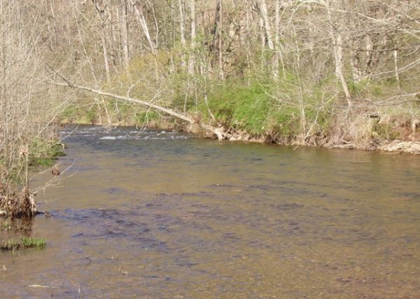 Photo of Mobile Home Lot