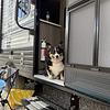 RV Lot for Rent: Missy Watts, Destin, FL