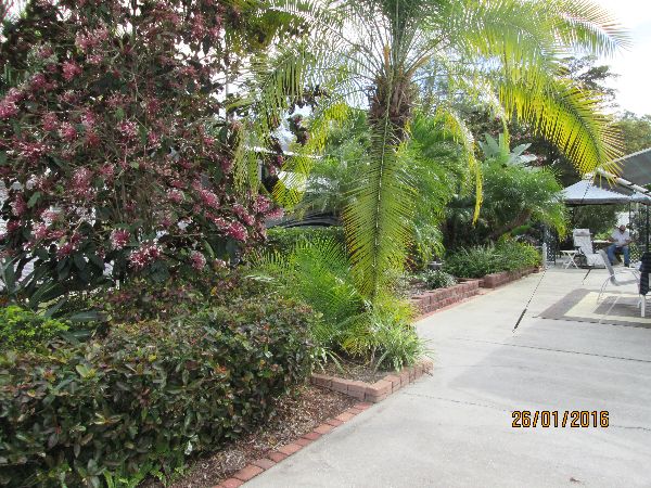 Photo of RV Lot