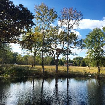 On other side of pond, looking to Site #1