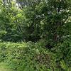 Mobile Home for Sale: 1982 Mobile Home