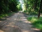Photo of Mobile Home Lot
