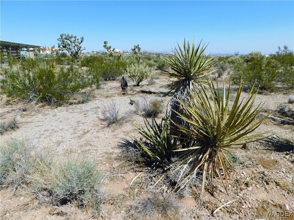 Photo of Mobile Home Lot