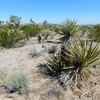 Photo of Mobile Home Lot