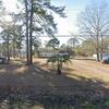 Mobile Home for Sale: Mobile Home