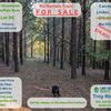 RV Lot for Sale: 5 acres for $74,900.... Great value!, Linden, TN
