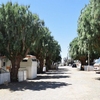 Photo of Multi Family Housing