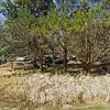 Mobile Home for Sale: Mobile Home