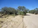 Photo of Mobile Home Lot