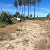 Mobile Home for Sale: 1900 Mobile Home