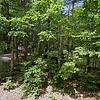 Mobile Home for Sale: 2 Bed 1 Bath 1980 Mobile Home