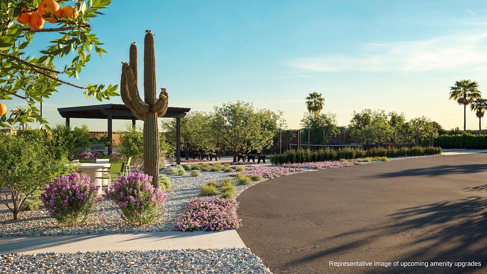 Amenities Rendering The Reserve At Lost Dutchman