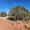 Photo of Mobile Home Lot