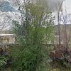 Mobile Home for Sale: 1982 Mobile Home