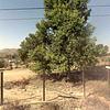 Mobile Home for Sale: 3 Bed 2 Bath 1987 Mobile Home