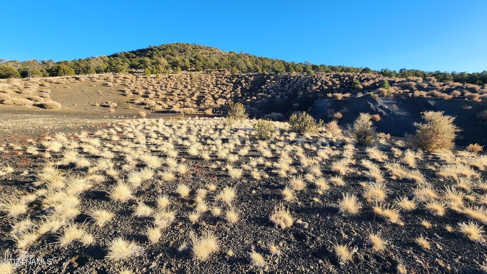 Photo of Mobile Home Lot