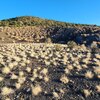 Photo of Mobile Home Lot