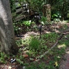 Photo of RV Lot