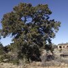 Photo of Mobile Home Lot