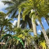 RV Lot for Sale: Entertainers Paradise - Truly one of a kind!, Port St. Lucie, FL