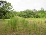 Photo of Mobile Home Lot