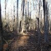 Photo of Mobile Home Lot