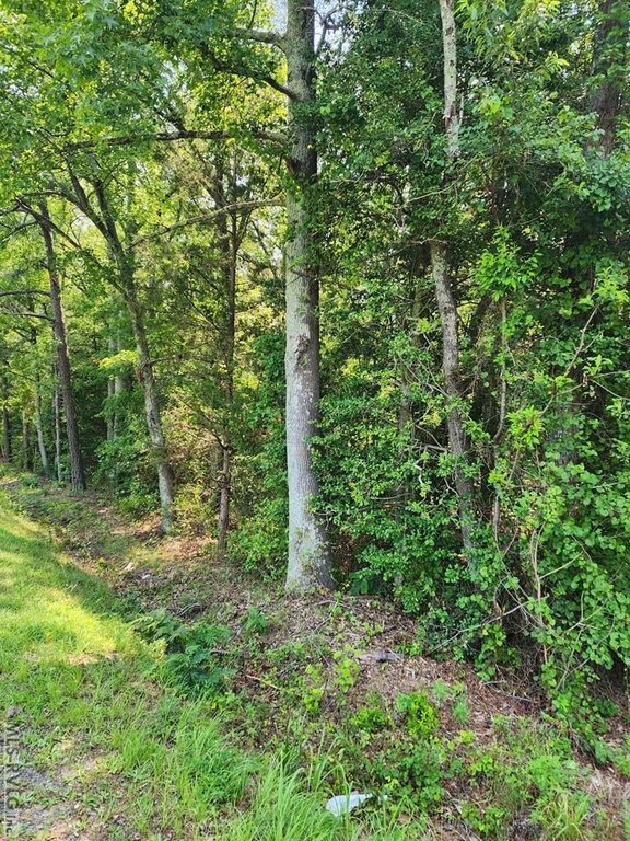 Photo of Mobile Home Lot