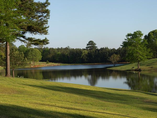 Gorgeous, private, country setting