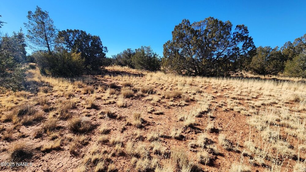 Photo of Mobile Home Lot