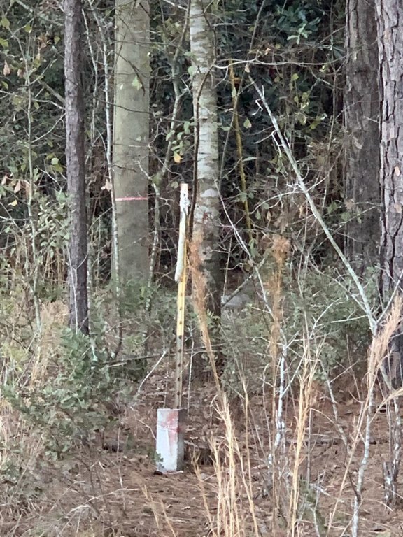 Photo of Mobile Home Lot