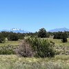 Mobile Home Lot for Sale: Residential/Mobile - Williams, AZ, Williams, AZ