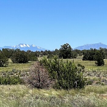 Thumbnail of mobile home lot