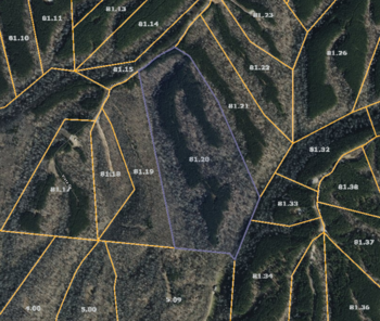 Thumbnail of RV lot