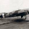 Aircraft for Sale: 1945 Hawker Tempest project
