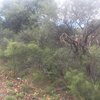 Photo of Mobile Home Lot