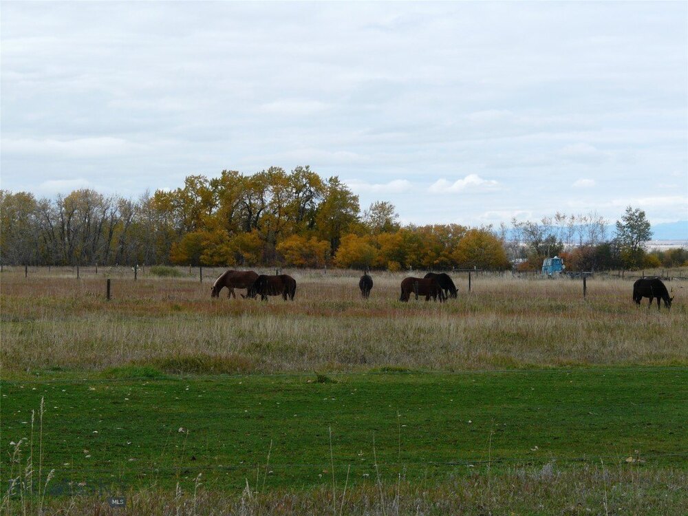 Photo of Mobile Home Lot