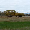 Photo of Mobile Home Lot