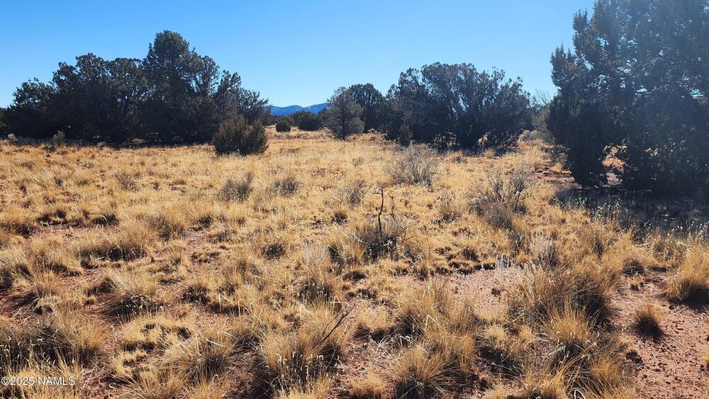 Photo of Mobile Home Lot