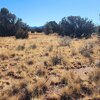 Photo of Mobile Home Lot