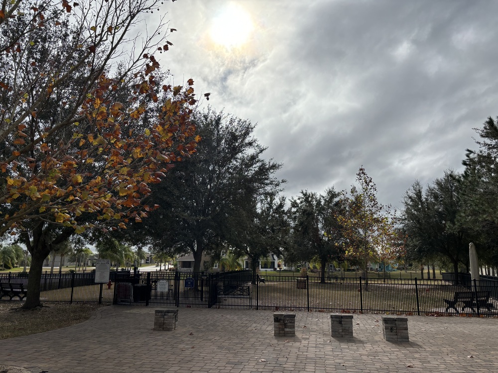 Dog Parks